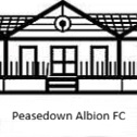 Peasedown Albion FC – Logo Square