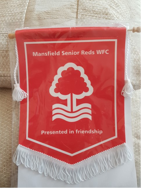 Mansfield Senior Reds