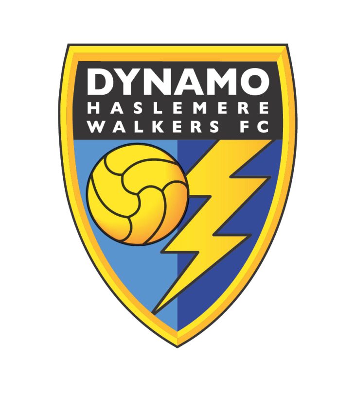DYNAMO-HASLEMERE-WALKERS-BADGE