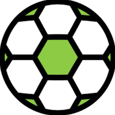 Shrewsbury Seniors WFC